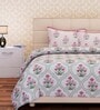 Pink Floral 160 TC Cotton Queen Sized Bed Sheets with 2 Pillow Covers