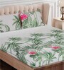 Green Floral 160 TC Cotton Queen Sized Bed Sheets with 2 Pillow Covers
