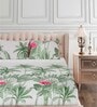 Green Floral 160 TC Cotton King Sized Bed Sheets with 2 Pillow Covers