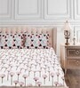 Pink Floral 160 TC Cotton Queen Sized Bed Sheets with 2 Pillow Covers