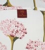 Pink Floral 160 TC Cotton Queen Sized Bed Sheets with 2 Pillow Covers