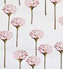 Pink Floral 160 TC Cotton Queen Sized Bed Sheets with 2 Pillow Covers