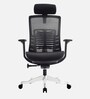 Inspire Breathable Mesh Ergonomic Chair in Black Colour with Headrest