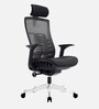 Inspire Breathable Mesh Ergonomic Chair in Black Colour with Headrest