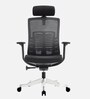 Inspire Breathable Mesh Ergonomic Chair In Black Colour