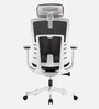 Inspire Breathable Mesh Ergonomic Chair In White And Grey Colour