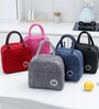 Assorted Insulated Lunch Bag Matte Finish