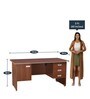 Integra Office Table in Walnut Regato Finish