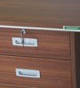 Integra Office cum Study Table in Walnut Regato Colour