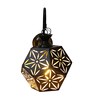 Intricated Iron Downlight (Black)