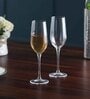 Inventa Transparent Glass 215ml Flute Glasses (Set of 6)