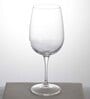 Inventa 500ml Transparent Glass (Set of 6) Wine Glasses