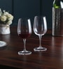 Inventa 500ml Transparent Glass (Set of 6) Wine Glasses