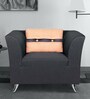 Iowa 1 Seater Sofa in Steel Grey colour
