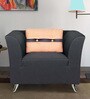 Iowa 1 Seater Sofa in Steel Grey colour