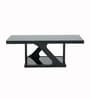 Ipoh Malaysian Rectangular Glass Top Coffee Table In Black Finish