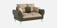 Ira 2 Sofa In Green Color
