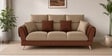 Ira 3 Sofa In Brown Color