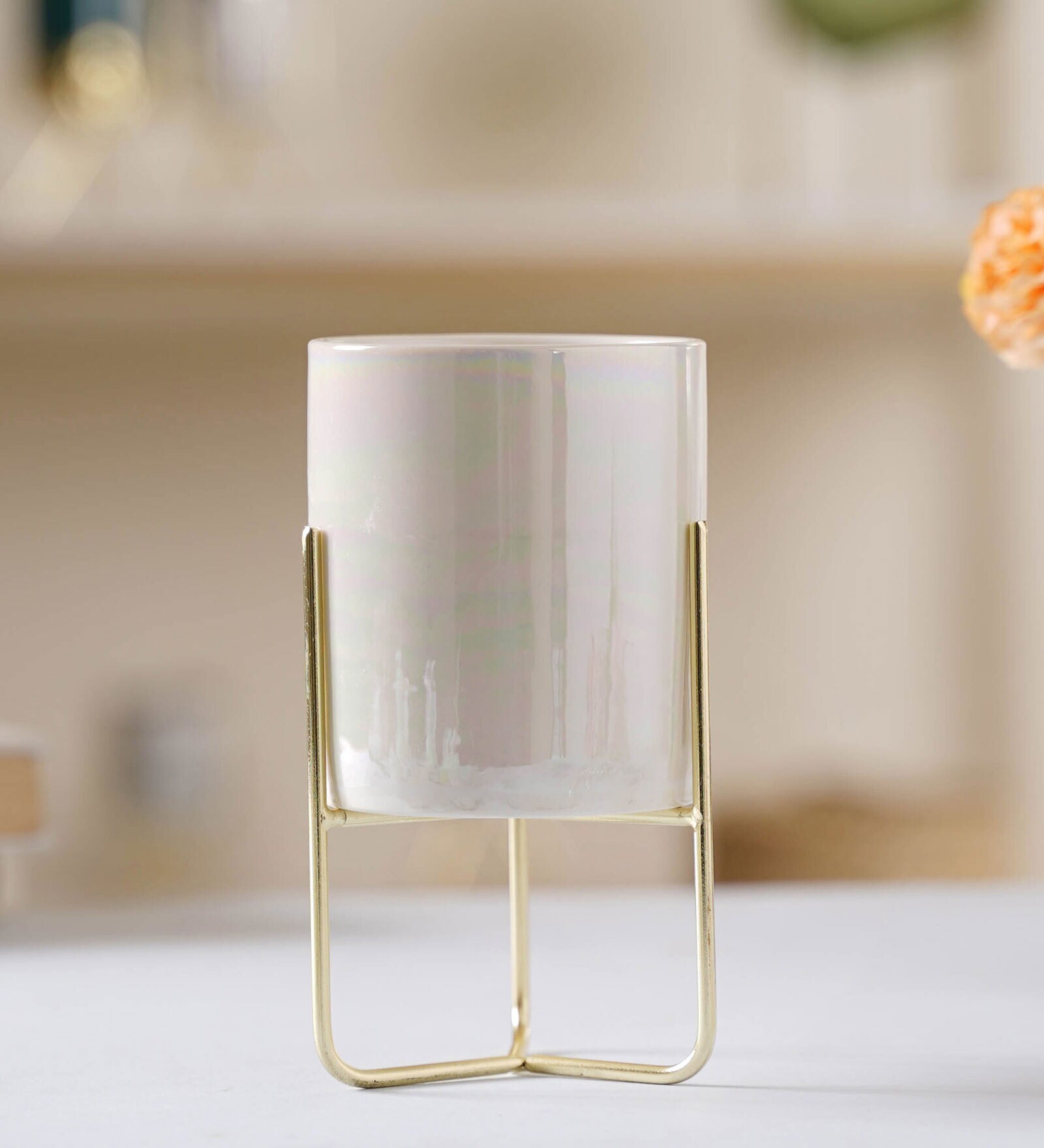 Iridiscent Ceramic & Metal Planter