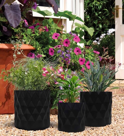 Iron Planter Pot For Indoor And Outdoor Decor Set of 3