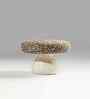 Irani Chai White Marble Stool In White Finish