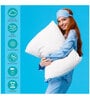 Ire Microfiber 24 x 16 Inch Pillow