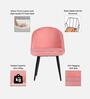 Iris Fabric Dining Chair In Pink Colour