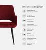 Iris Fabric Dining Chair In wine Colour
