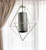 Iris Pendant Lamp Feather Cement Wall Lamp
