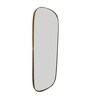 Iron Oval Full Length Mirror in Golden Colour
