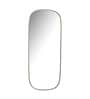 Iron Oval Full Length Mirror in Golden Colour