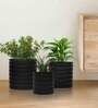 Iron Planter Pot For Indoor And Outdoor Decor Set of 3