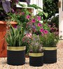 Iron Planter Pot For Indoor And Outdoor Decor Set of 3
