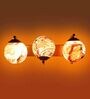 Iron Metal Novelty Wall Light (Gold)