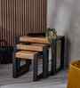 Kesty Nesting Coffee Table in Walnut Finish