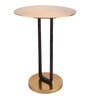 Irwin'S Metal End Table In Gold & Black Colour