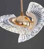 Isabella Gold Aluminium and Acrylic LED Ceiling Lights