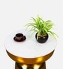 Isadora Metal End Table In White & Gold Colour
