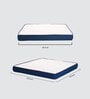 Italian Ortho 8 Inch Memory Foam Queen Size Mattress