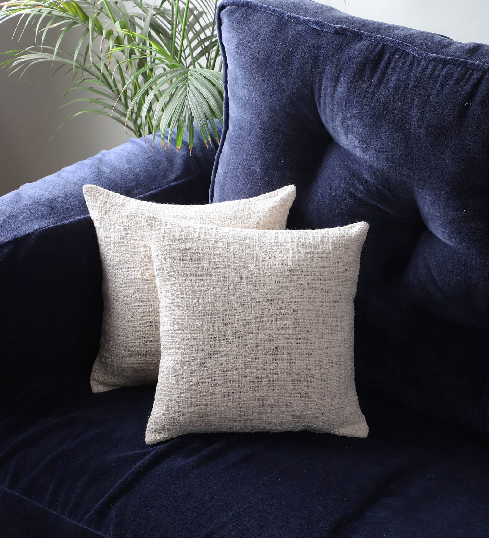 Ivory Cotton Solid 12x12 inches (Set of 2) Cushion Covers
