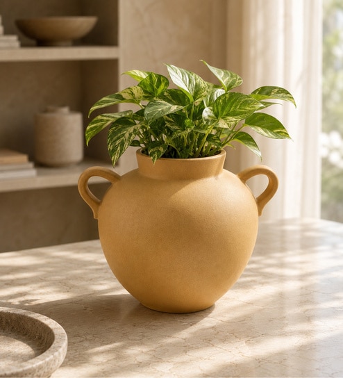 ashnam Ivoire Clair Minimalist Dual-Handle Modern Decorative Tabletop Flower Vase-picture-12