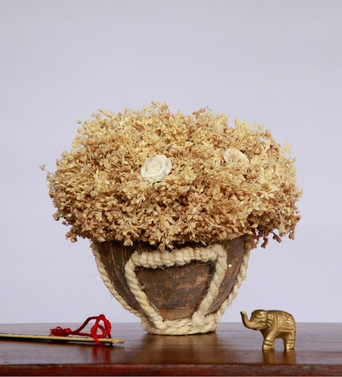 Ivory Sola Natural Dried Flowers On Coconut Shell Decorated With Coir