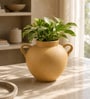 Ivoire Clair Minimalist Dual-Handle Modern Decorative Tabletop Flower Vase
