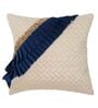 Ivory & Blue Silk Textured 24x24 inches (Set of 2) Cushion Covers