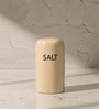 Ivory & Iron Salt & Pepper Set Ceramic Shakers with Metal Stand