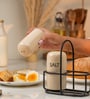Ivory & Iron Salt & Pepper Set Ceramic Shakers with Metal Stand