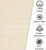 Ivory Solid 550 GSM Cotton Bath Towels (Set of 2)