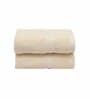 Ivory Solid 550 GSM Cotton Hand Towels (Set of 2)