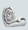 Ivory Microfiber Damask 150 GSM Double Bed Comforter