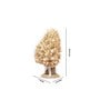 Ivory Inverted Heart Shaped Sola Natural Dried Flowers On Conical Wooden Base